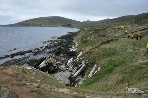Passageiros do Sea Spirit caminham em Carcass Island, no noroeste das Ilhas Malvinas